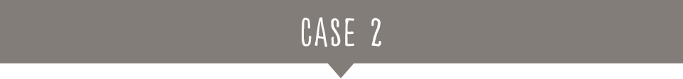 CASE2