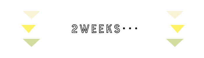 2weeks…